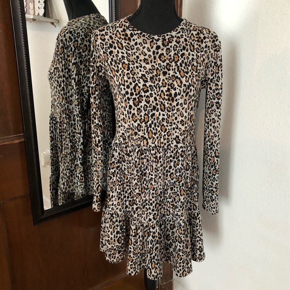 Zara Leopard Swing Dress